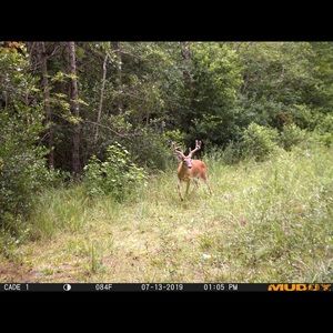 Meet your Posher, Joseph